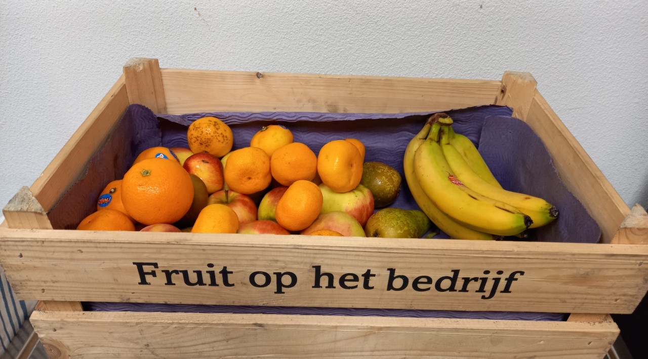 Fruit op het bedrijf